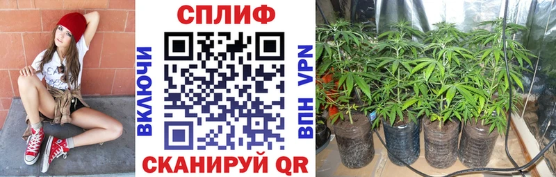 Канабис семена  Купить закладки  Давлеканово 